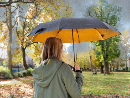 Мода в непогоду – выбираем зонт