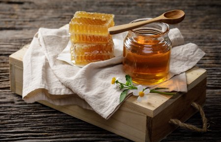 Целебные свойства меда на страже вашего здоровья